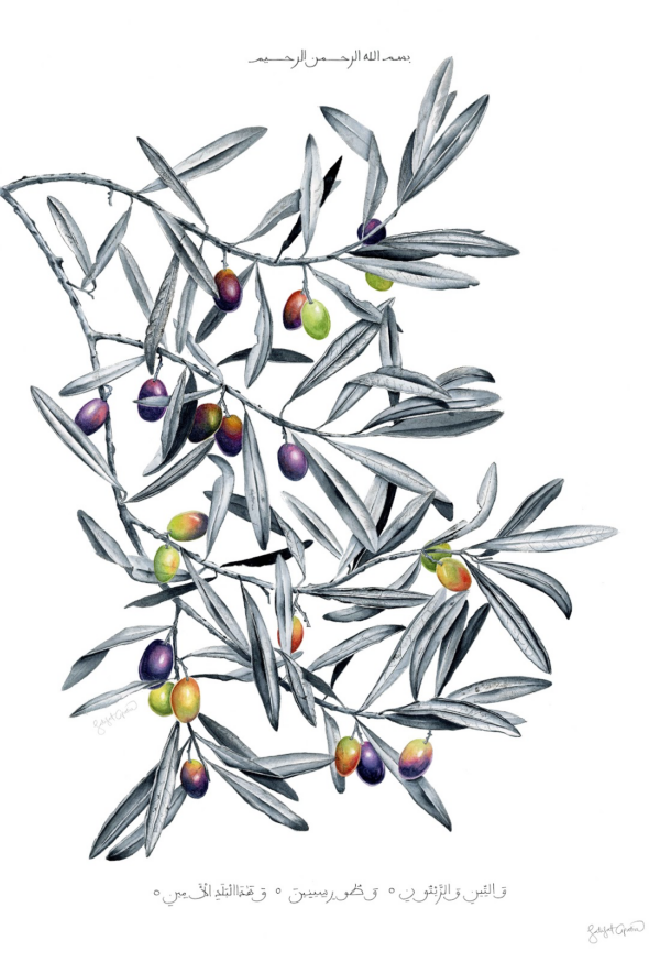 Latifat Titilayo Apatira - olive | zaytun | زيتون {SOLD}