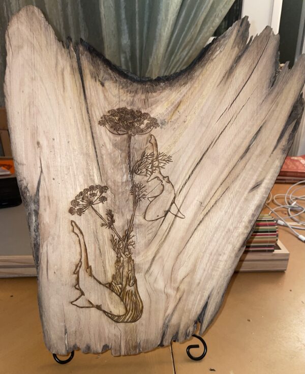Artist: Ori Rogers Title: Sharks and Fennel Medium: Drift Wood  Grade: 11th School: Campolindo High School Teacher: Robert Porter Price: NFS