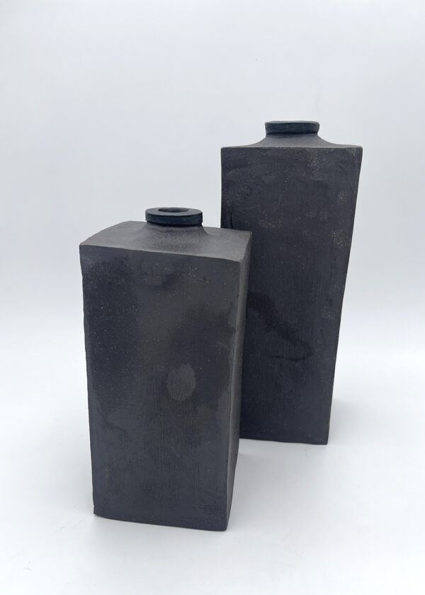 Olga Larner - Towers I & II
