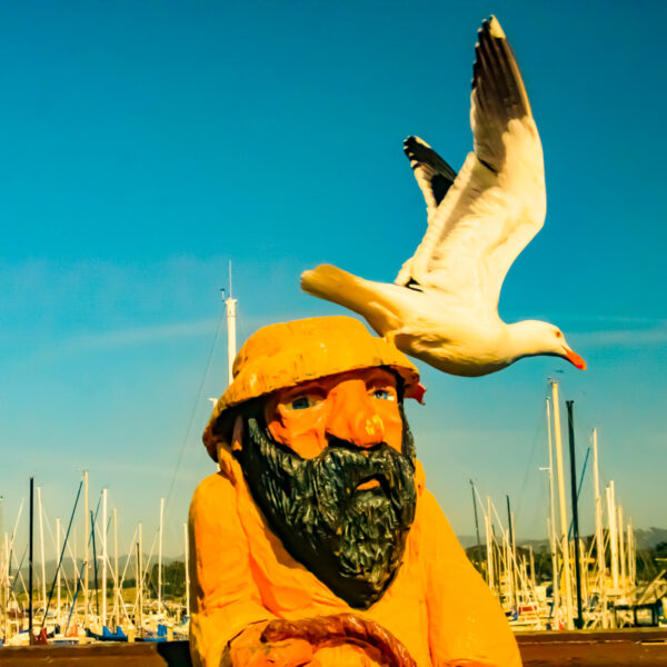 Photograph showing a statue of a bearded fisherman wearing a yellow rain slicker and hat. A seagull is diving at its head. A marina with boats is visible behind it.