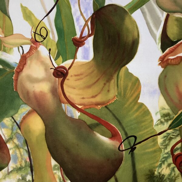 Painting showing a close-up image of flowers and leaves. The plants are green with touches of red.