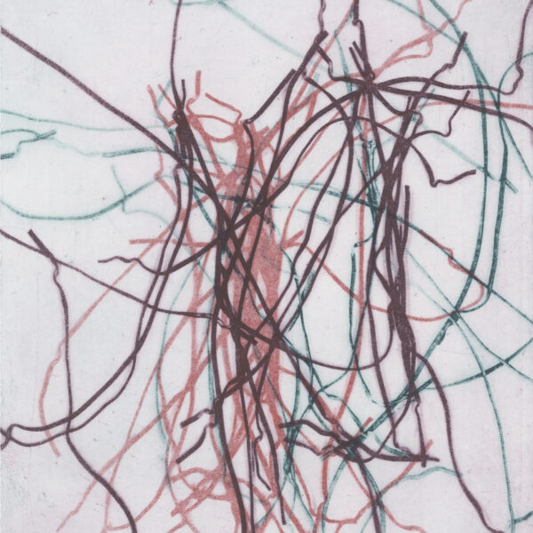 Image shows tangle of lines in different colors against a white background.