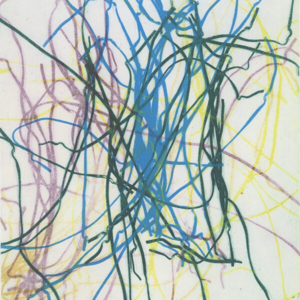 Image shows tangle of multicolored lines against a white background.
