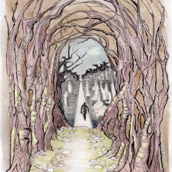 Image shows a canopy of leafless trees bent into an arch