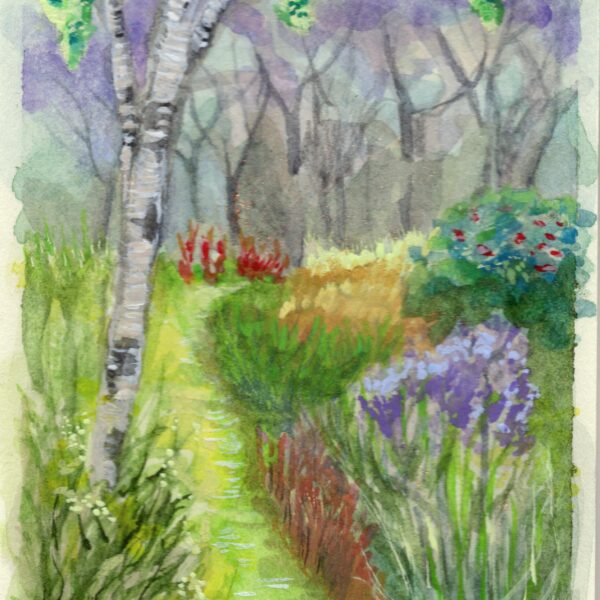 Image shows green path through a forest with trees