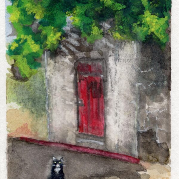 Image shows a black and white cat sitting in front of a red door. Greenery hangs overhead
