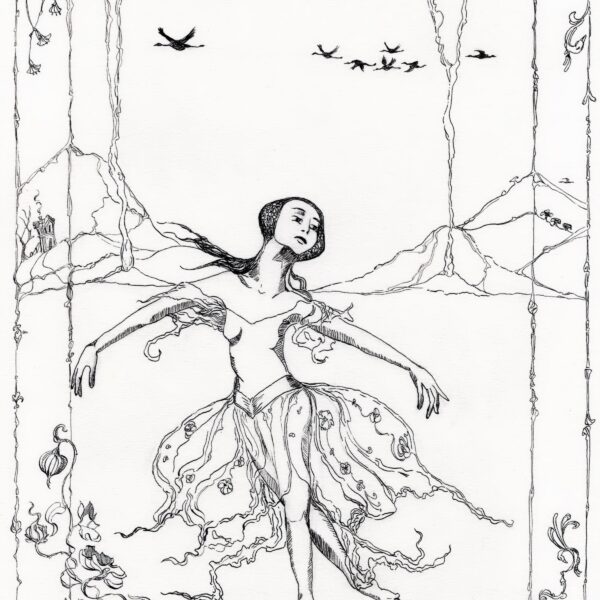 Anne Goldmann - Followed By Volcanoes