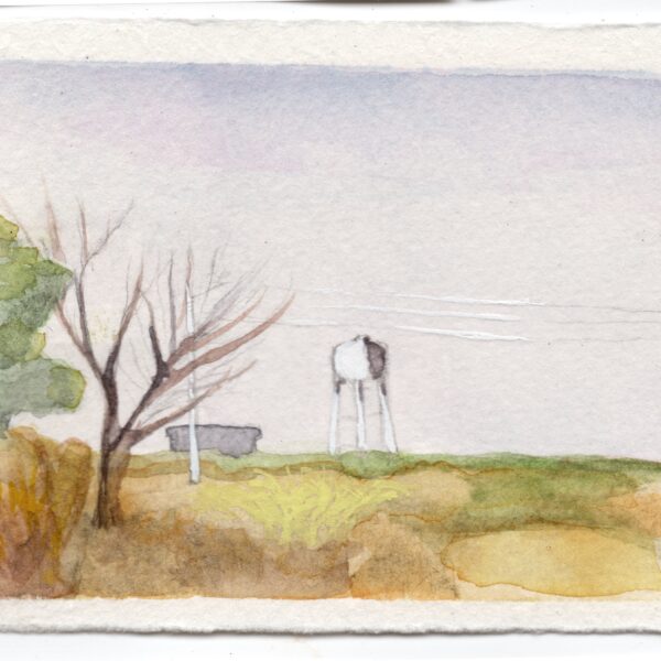 Anne Goldmann - Landscape NV #5