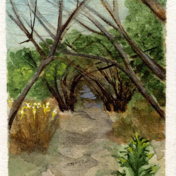 Anne Goldmann - Landscape NV #6