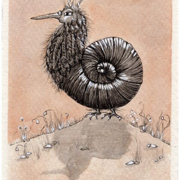 Image showing drawing of fantastical bird that is coiled in a snail shell pattern