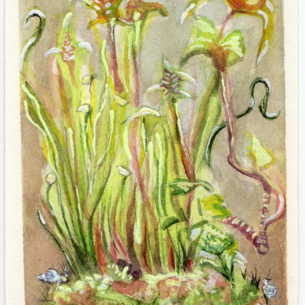 Anne Goldmann - Tiny Bonsai