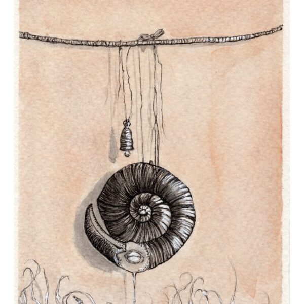 Anne Goldmann - Tuckruffle