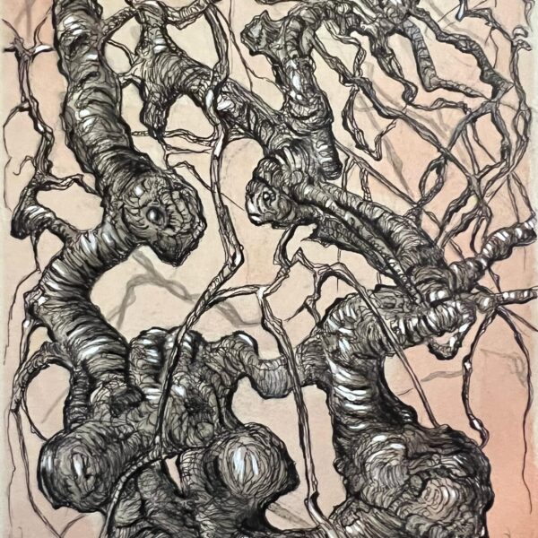 Anne Goldmann - Uncommon Beech