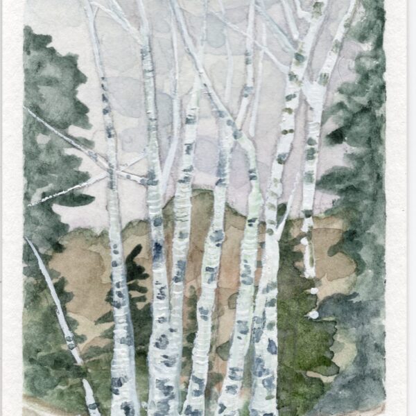 Anne Goldmann - Landscape NV #12 {SOLD}