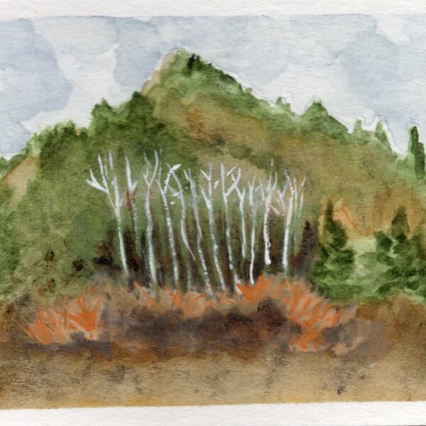 Anne Goldmann - Landscape NV #20