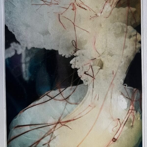 Marian Harris - Magnificent Jelly