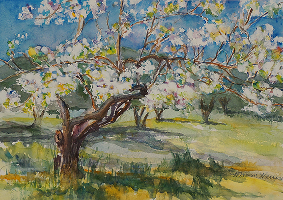 Marian Harris - Moraga Pear Orchard
