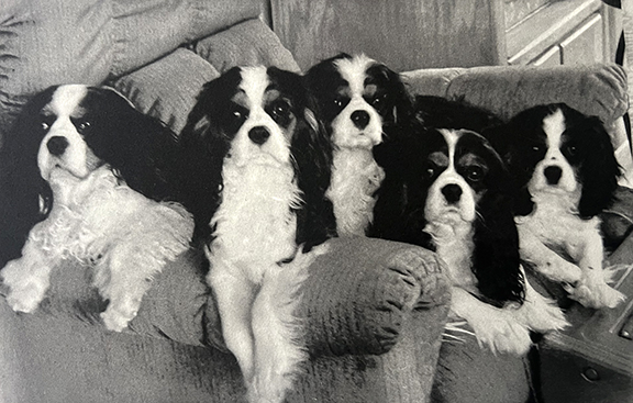 Marian Harris - Royal Family Portrait