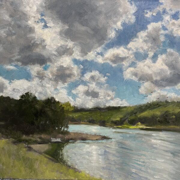Judith Feins - Clouds, Lafayette Reservoir