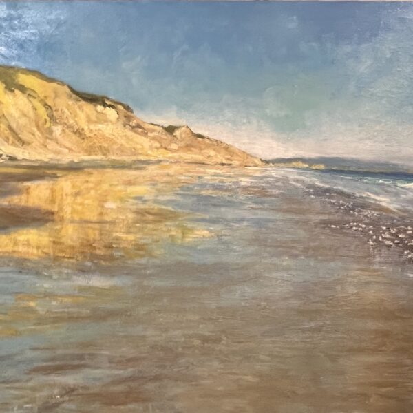 Judith Feins - Drakes Beach With Sanderlings