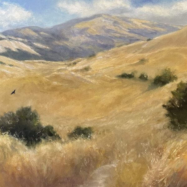 Judith Feins - Golden Hills, Mt. Diablo