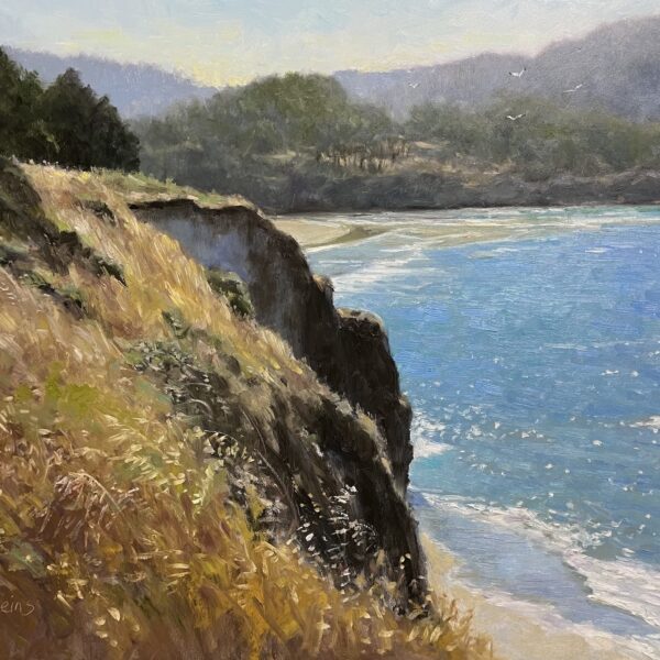Judith Feins - Mendocino Cliff