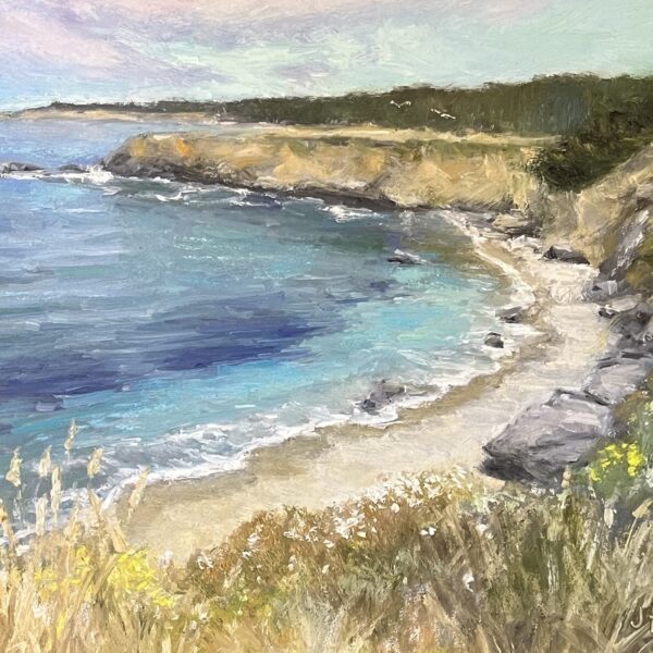 Judith Feins - Mendocino Coast View
