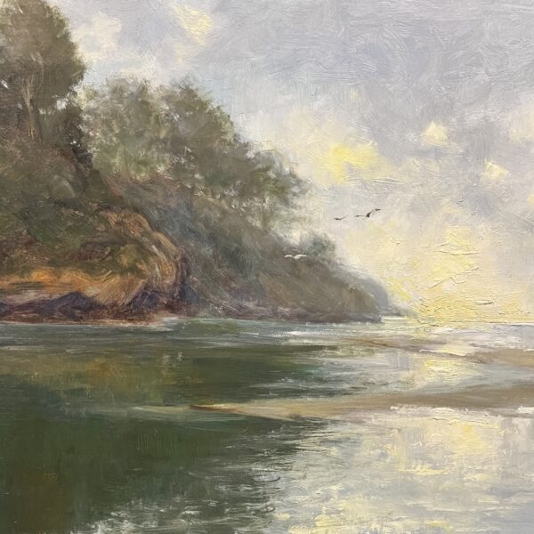 Judith Feins - Morning Fog Mendocino