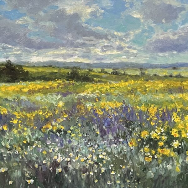 Judith Feins - Superbloom, Carrizo Plain