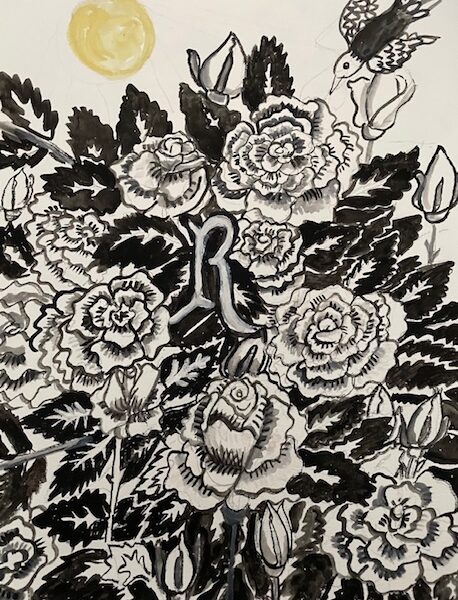 Stephenie Bushra Khan - Roses