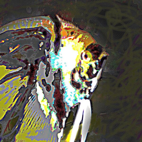 Dave Kwinter - Untitled #26