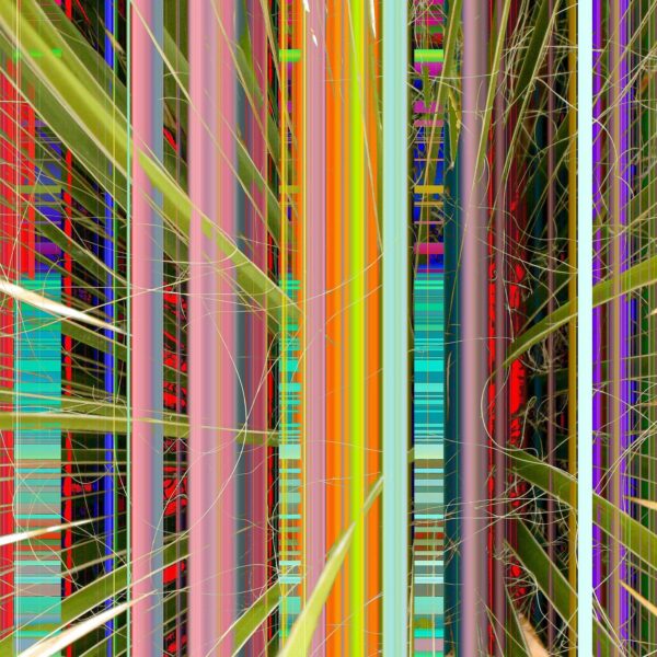 Dave Kwinter - Untitled #38