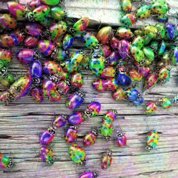 Dave Kwinter - Untitled #8