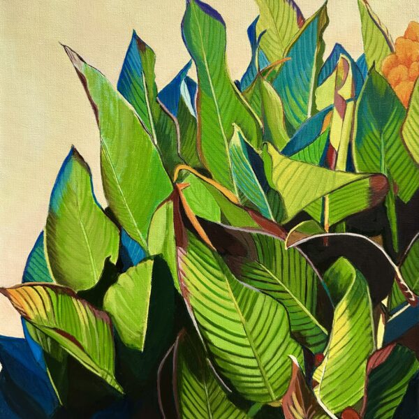 Suzun Almquist - Cannas