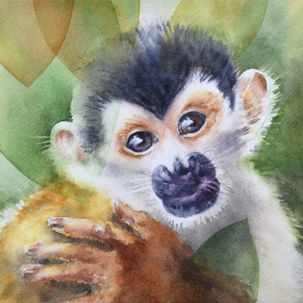 Julie Cohn - Squirrel Monkey's Gaze