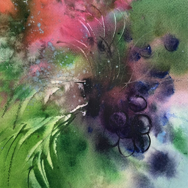 Julie Cohn - Açai Berries
