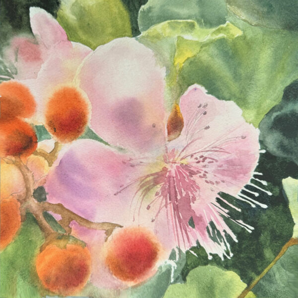 Julie Cohn - Achiote Flower