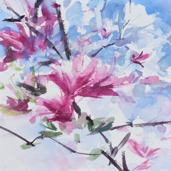 Julie Cohn - Blushing Magnolias