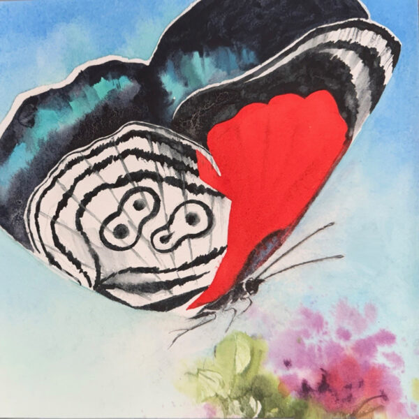Julie Cohn - Butterfly