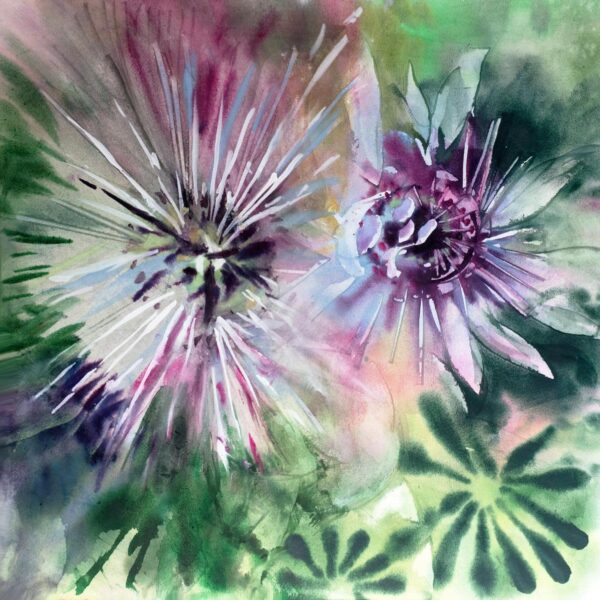 Julie Cohn -  Passionflower Impression