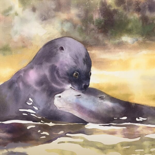 Julie Cohn - Preening Giant River Otters