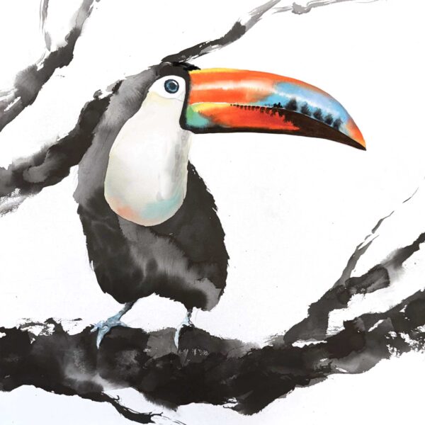 Julie Cohn - Rainbow-Billed Toucan