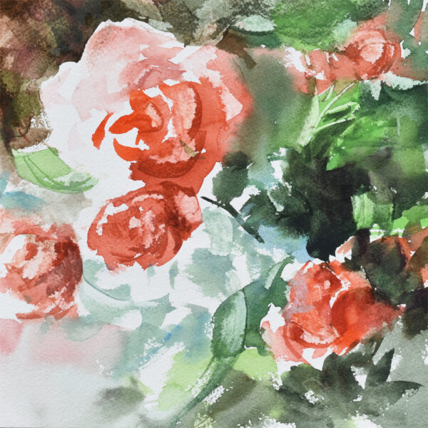 Julie Cohn - Rose Profusion