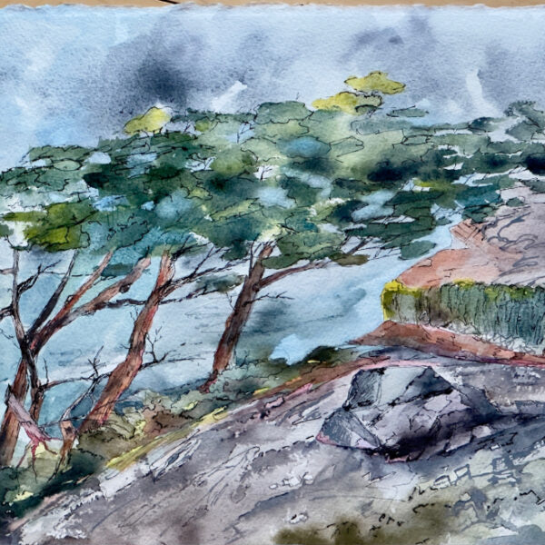 Carol Husslein - Scenic Drive Postcard