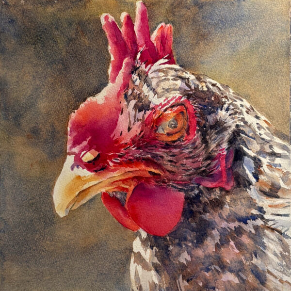 Barbara	Lind - Edible Schoolyard Bird