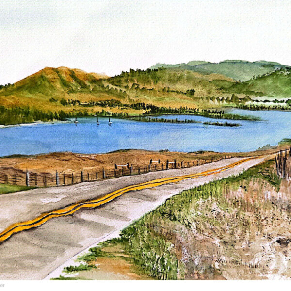 Sue	Pearlstein - Tomales Bay
