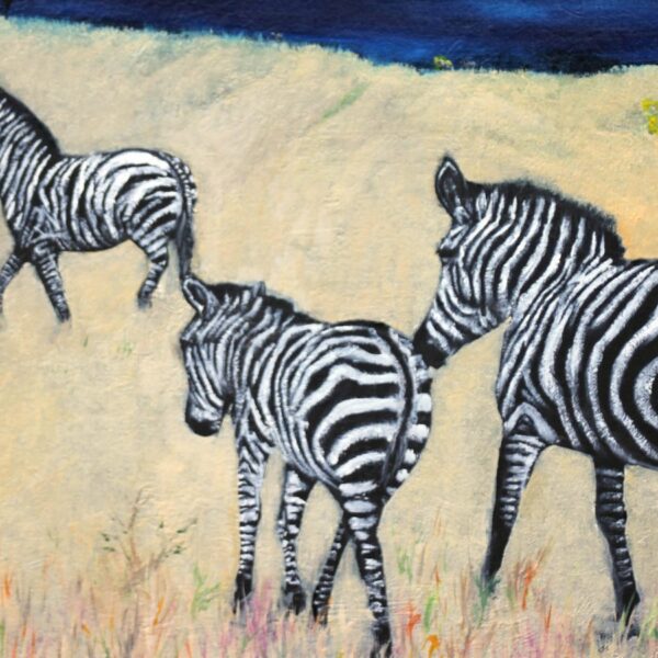 Evelyn Call  - The Zebra Kingdom