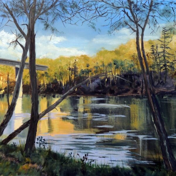Bronwen Chandler - Late Afternoon 