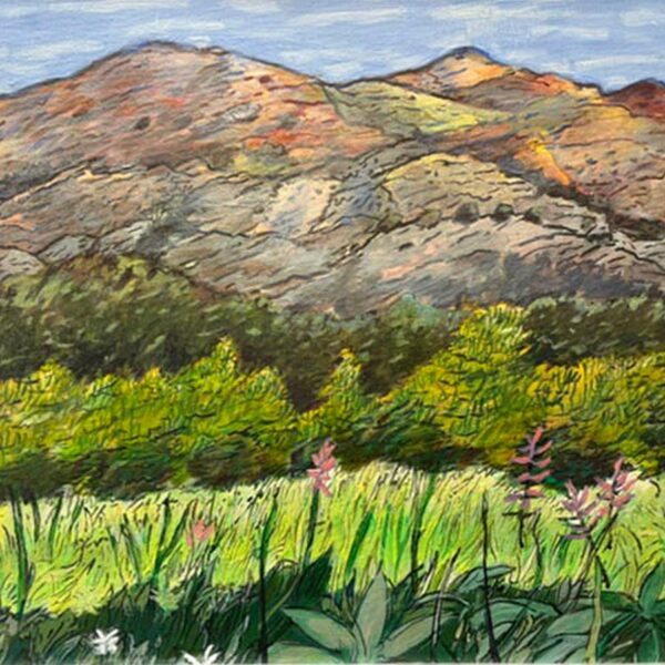 David Cunningham - Tenaya Pass Hanging Gardens 