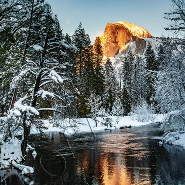 Wenda Pyman - Aspen Glow On Half Dome  